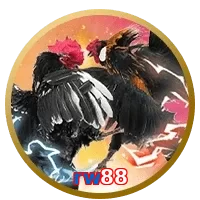 rw88